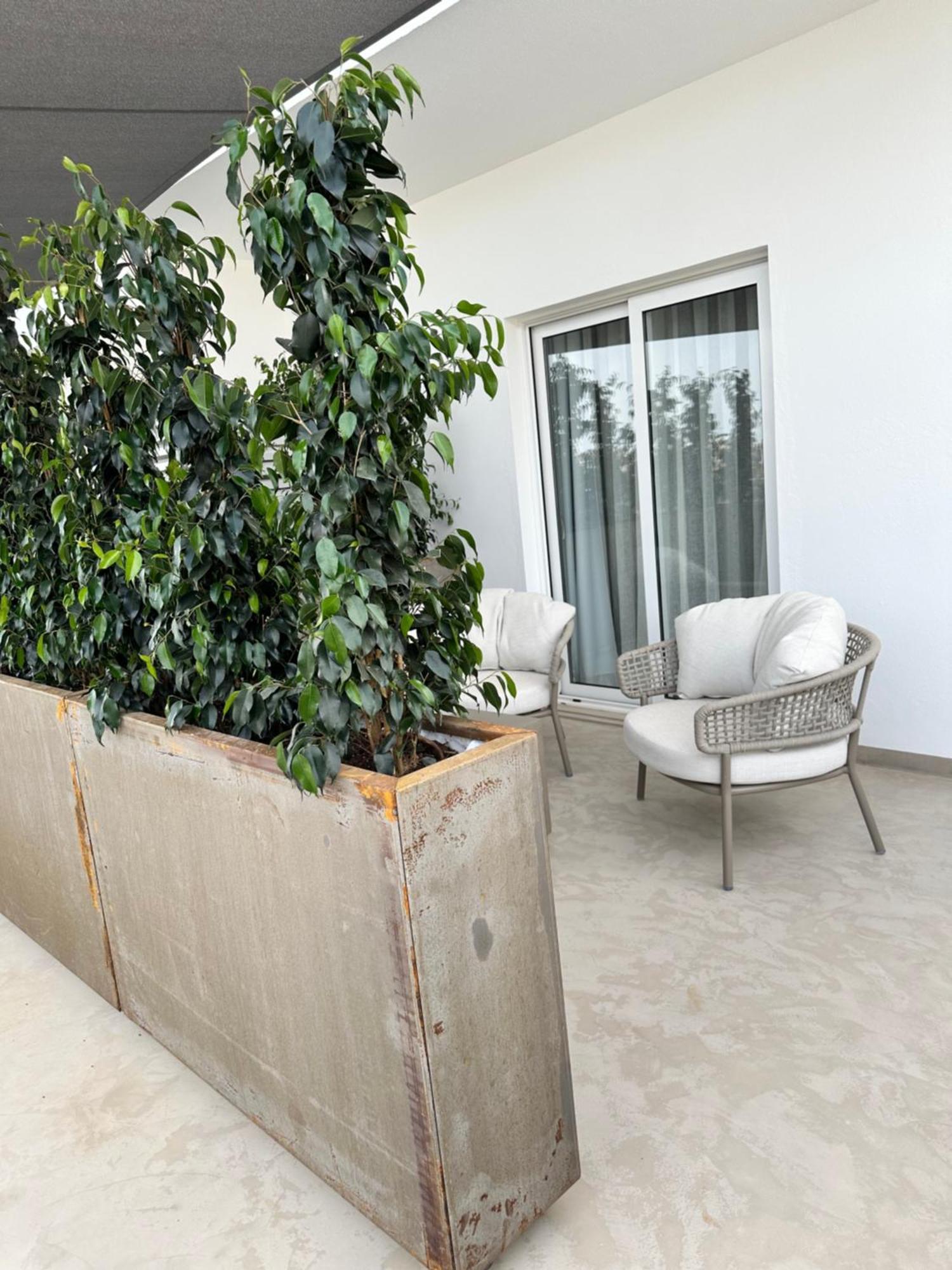 Luz Casa Malia Luxury Guest House المظهر الخارجي الصورة